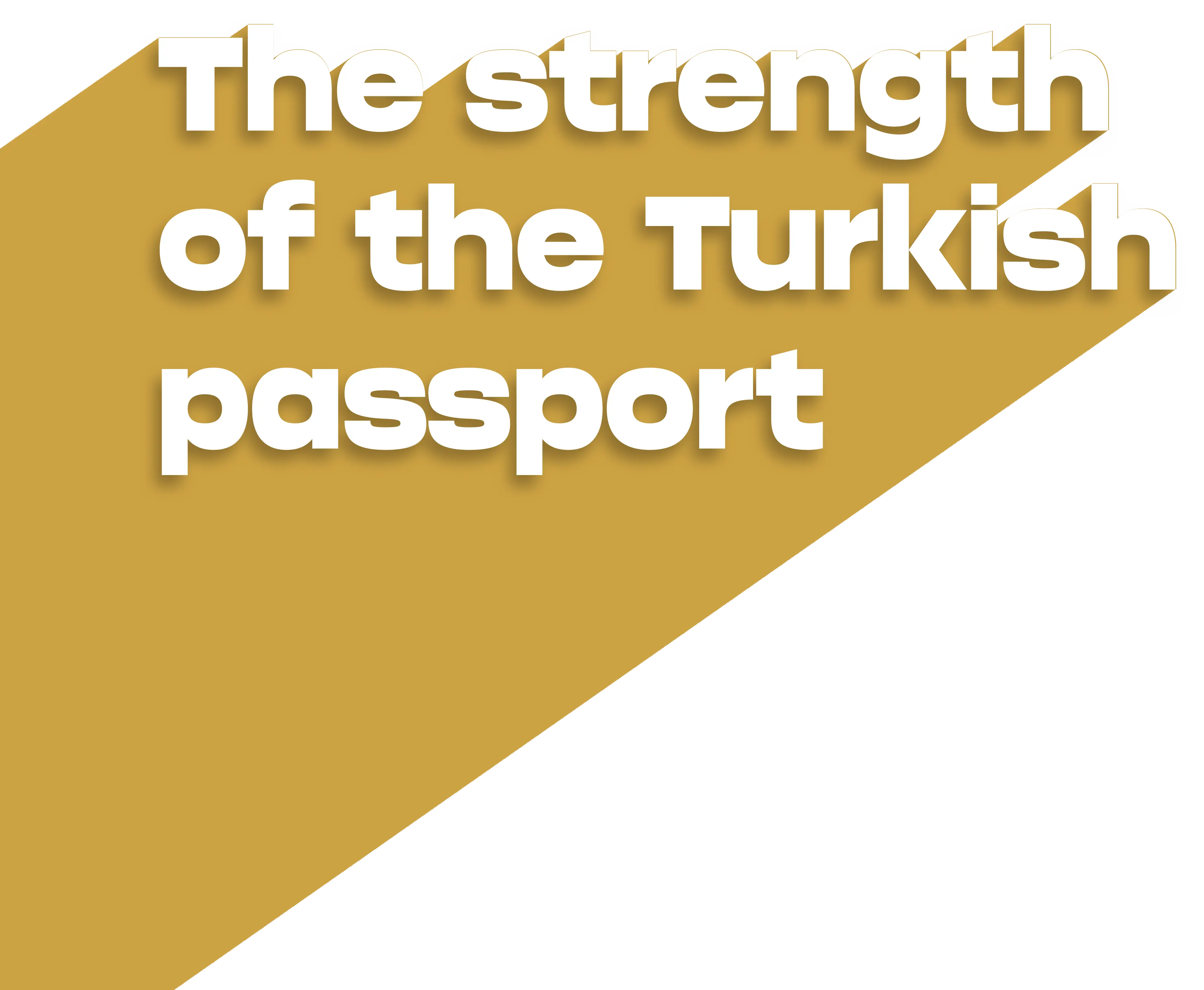 power passport image
