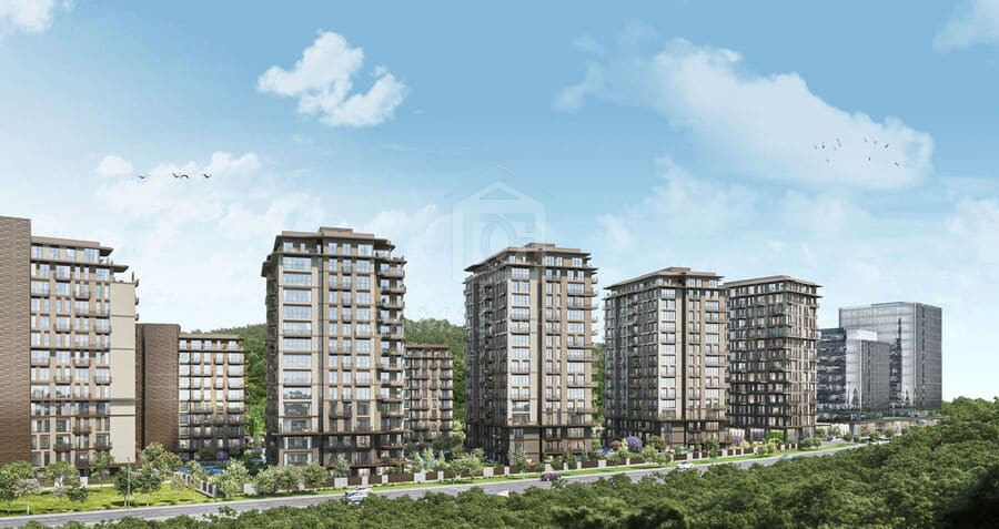 Maslak Koru 05
